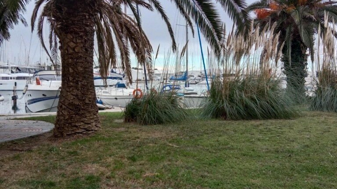 Photo of Others in Le Port