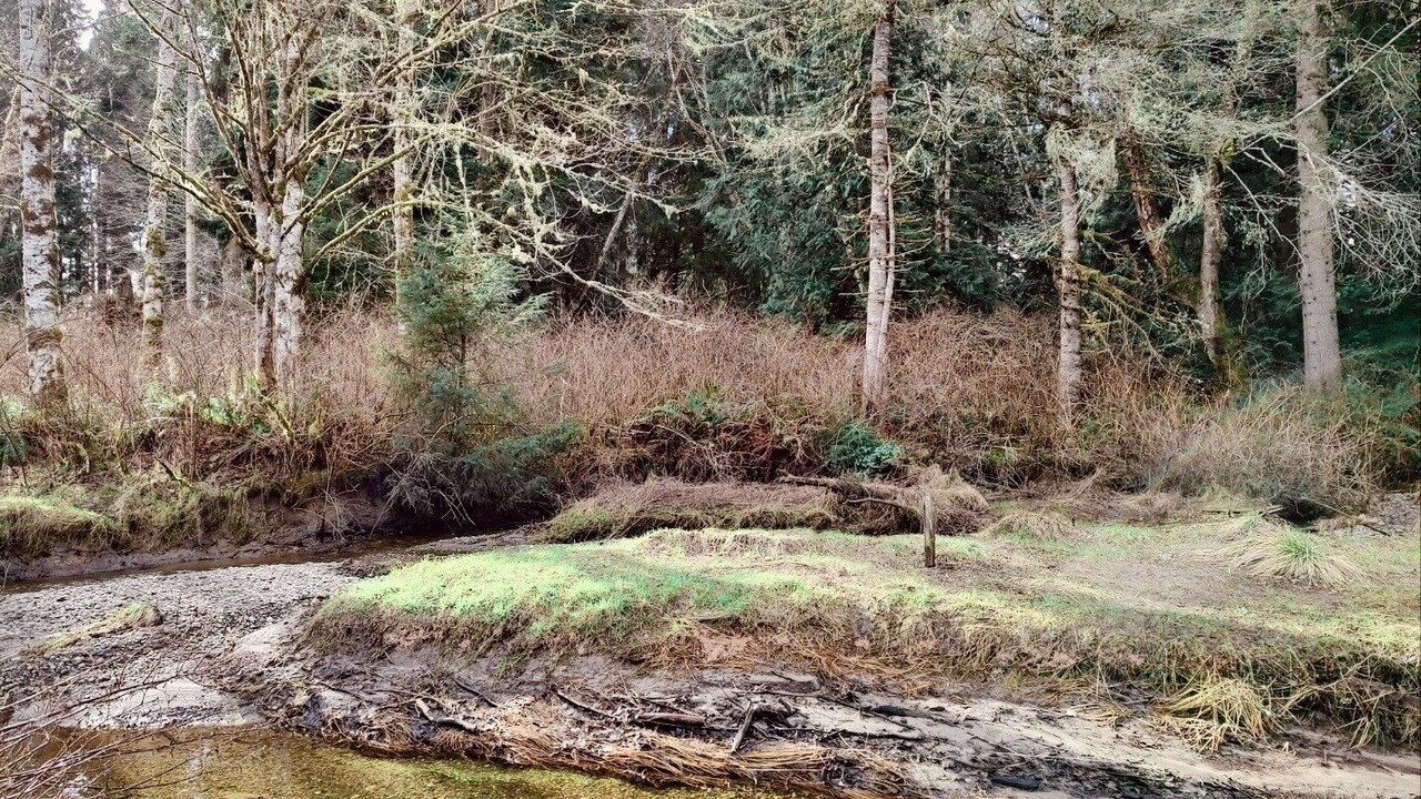 Photo of Outdoor in Rollingbay