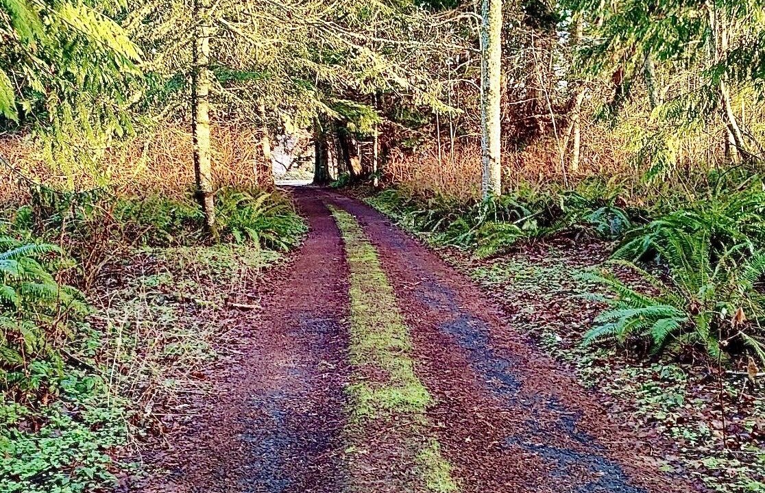 Photo of Outdoor in Rollingbay