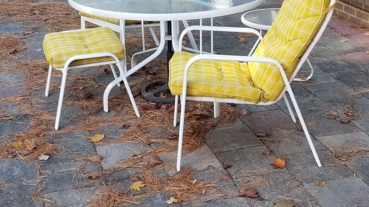 Photo of Outdoor in Bendale
