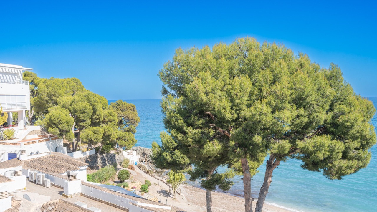 Photo of Others in Altea
