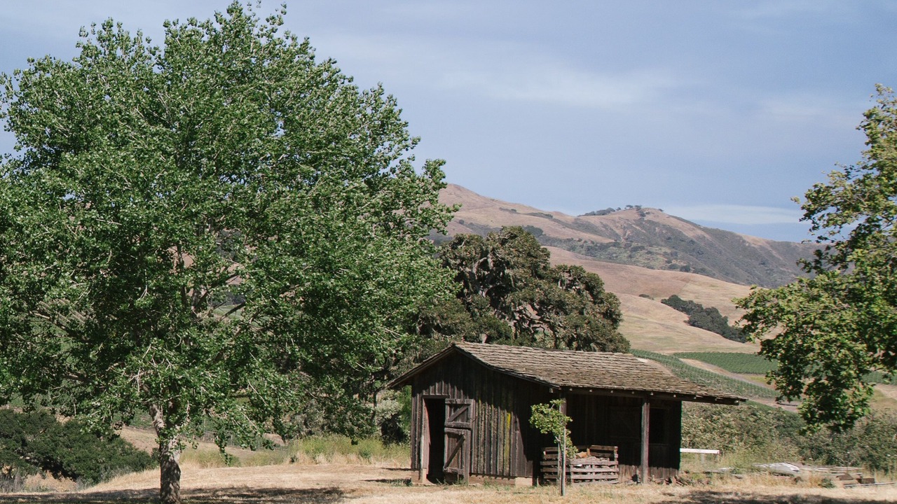 Photo of Outdoor in Santa Barbara Wine Country