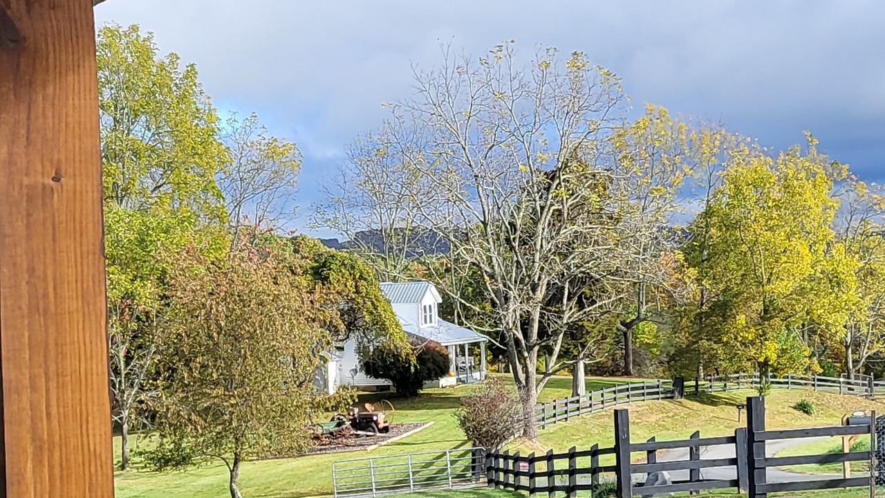 Photo of Outdoor in Austinville