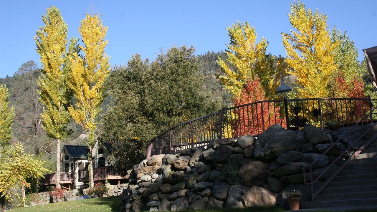 Photo of Others in Big Bar