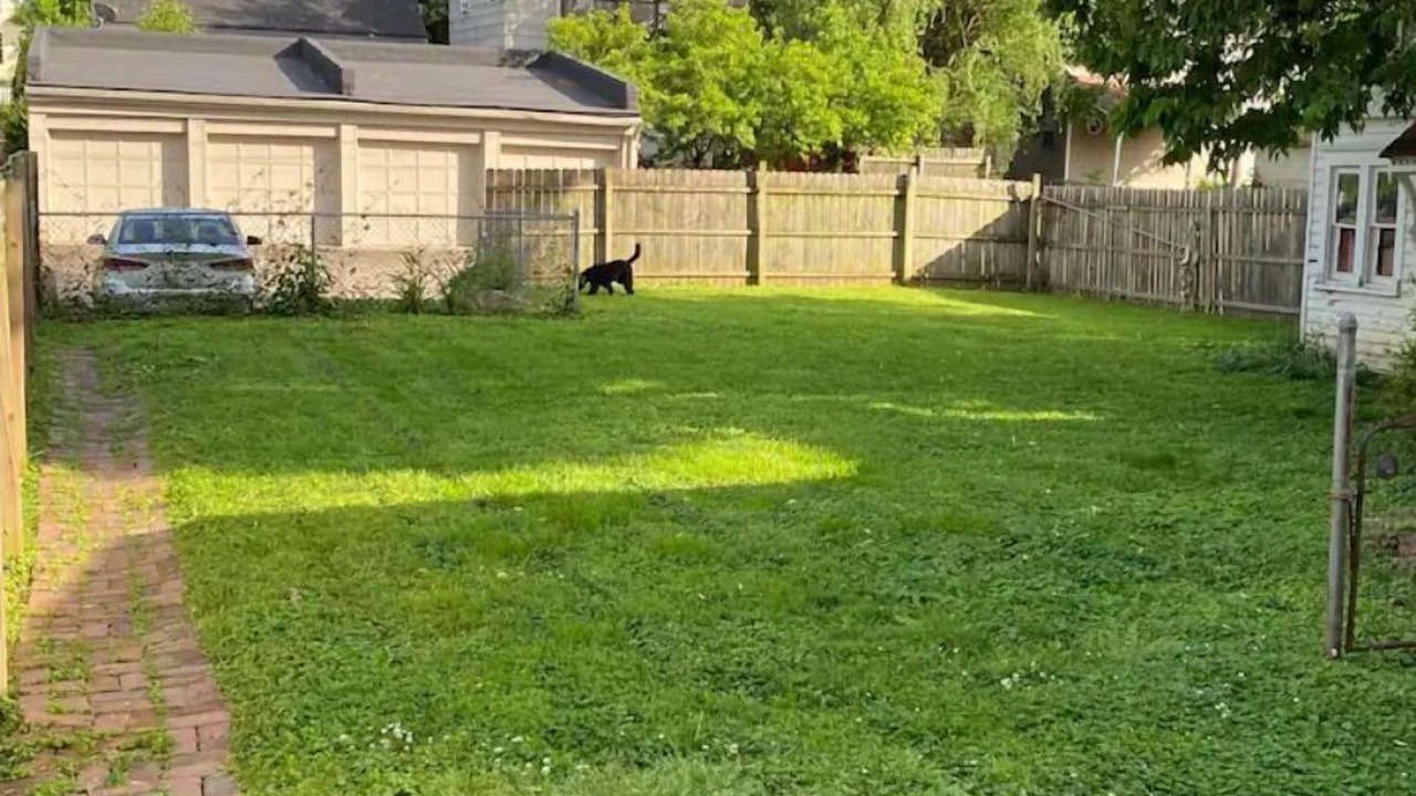 Photo of Outdoor in Tyler Park