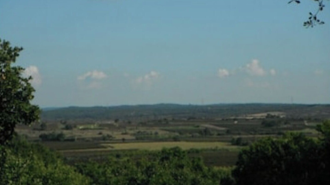 Photo of Others in Montignargues