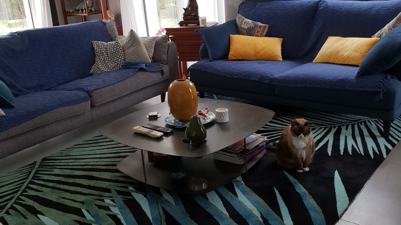 Photo of Livingroom in Guerande
