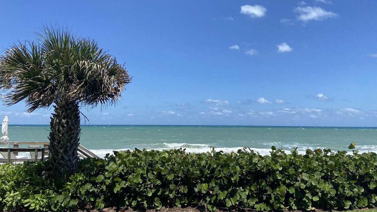 Photo of Outdoor in Johns Island