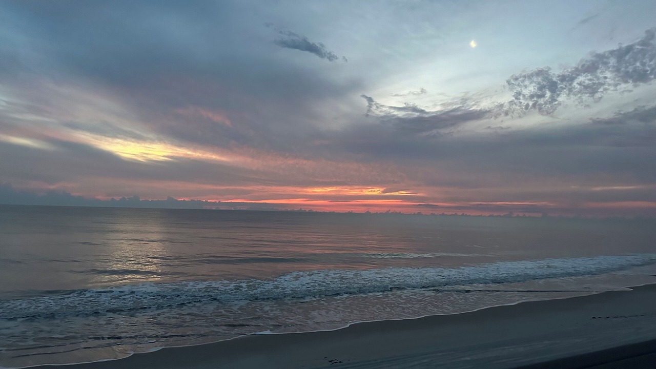Photo of Others in Johns Island