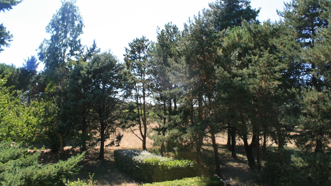 Photo of Outdoor in Lussac-les-Chateaux