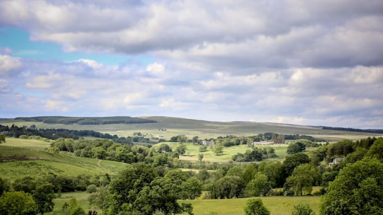 Photo of Others in Tarset