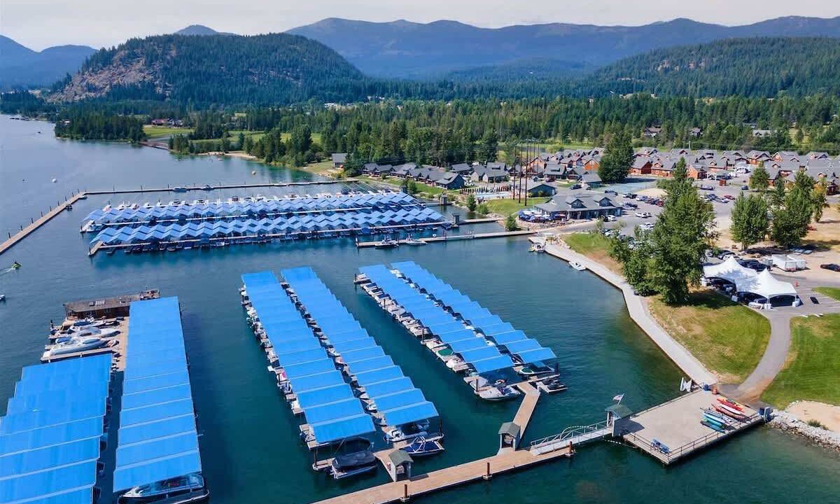 Photo of Others in Dover Bay