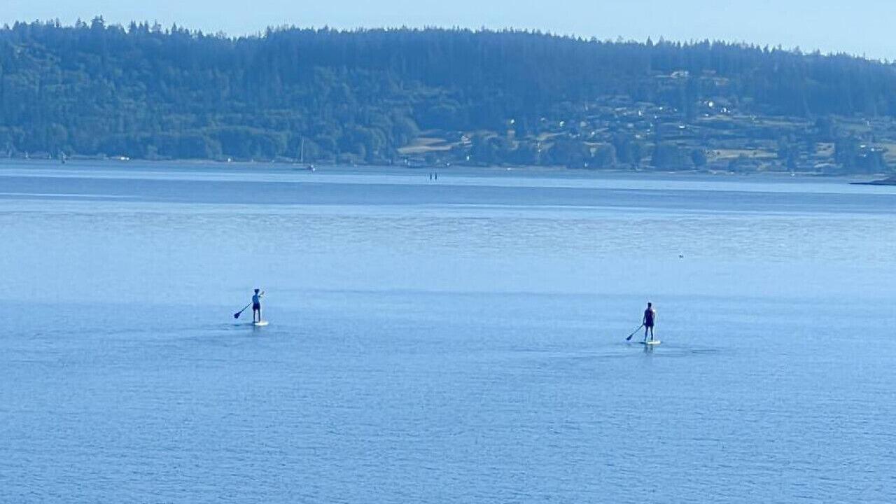 Photo of Others in La Conner