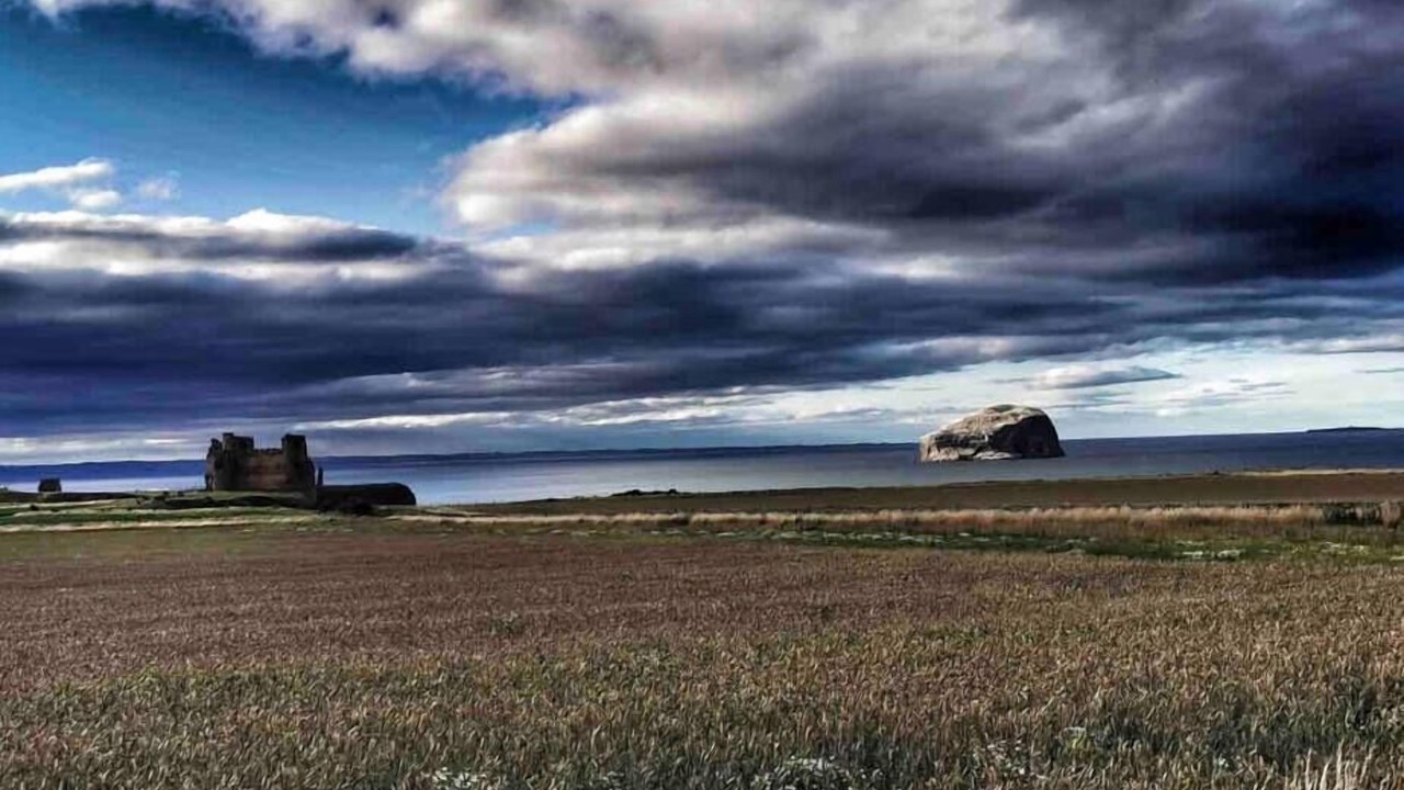 Photo of Others in North Berwick