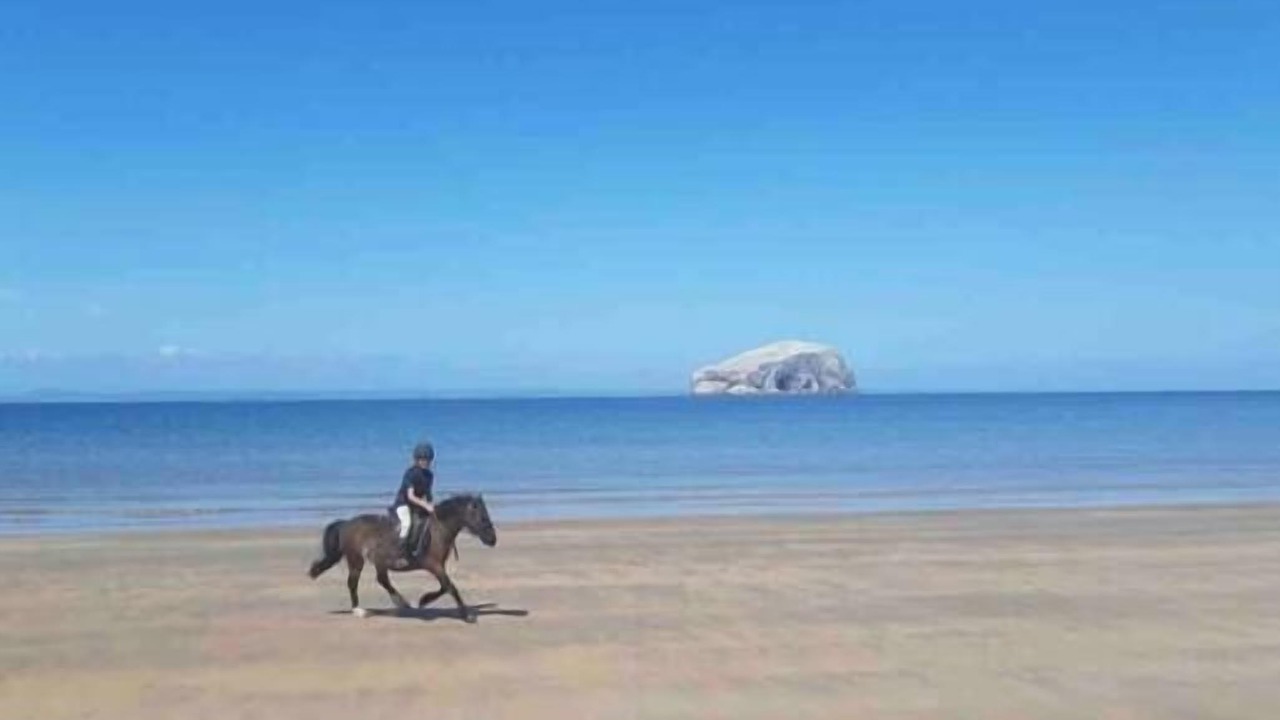 Photo of Others in North Berwick