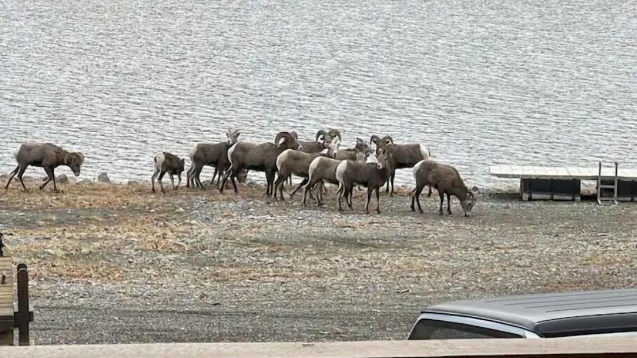 Photo of Others in Huntington