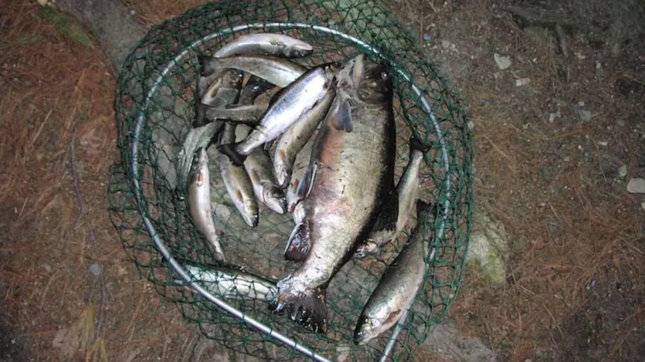 Photo of Others in Lincoln