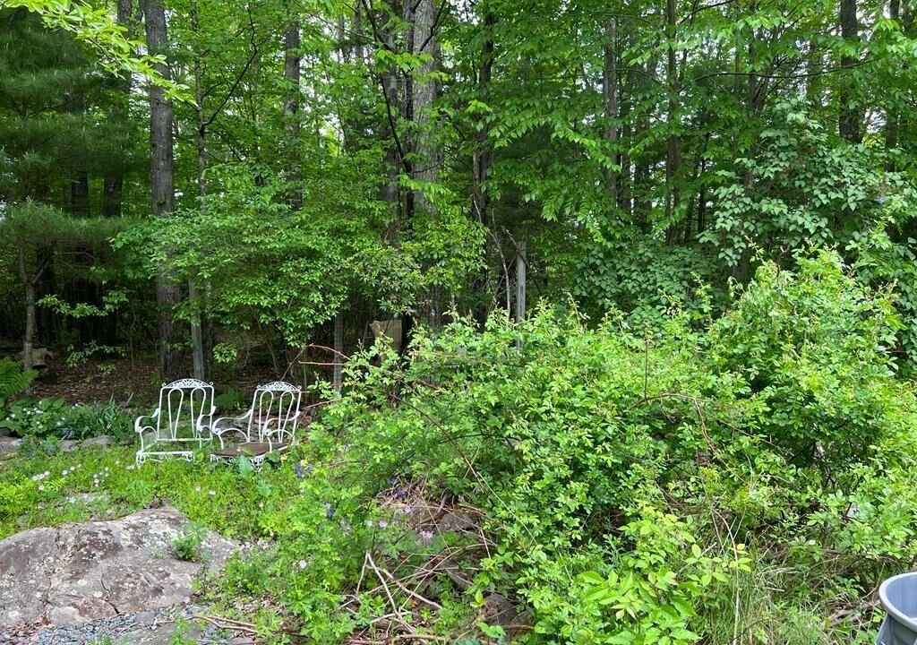 Photo of Outdoor in Ellenville