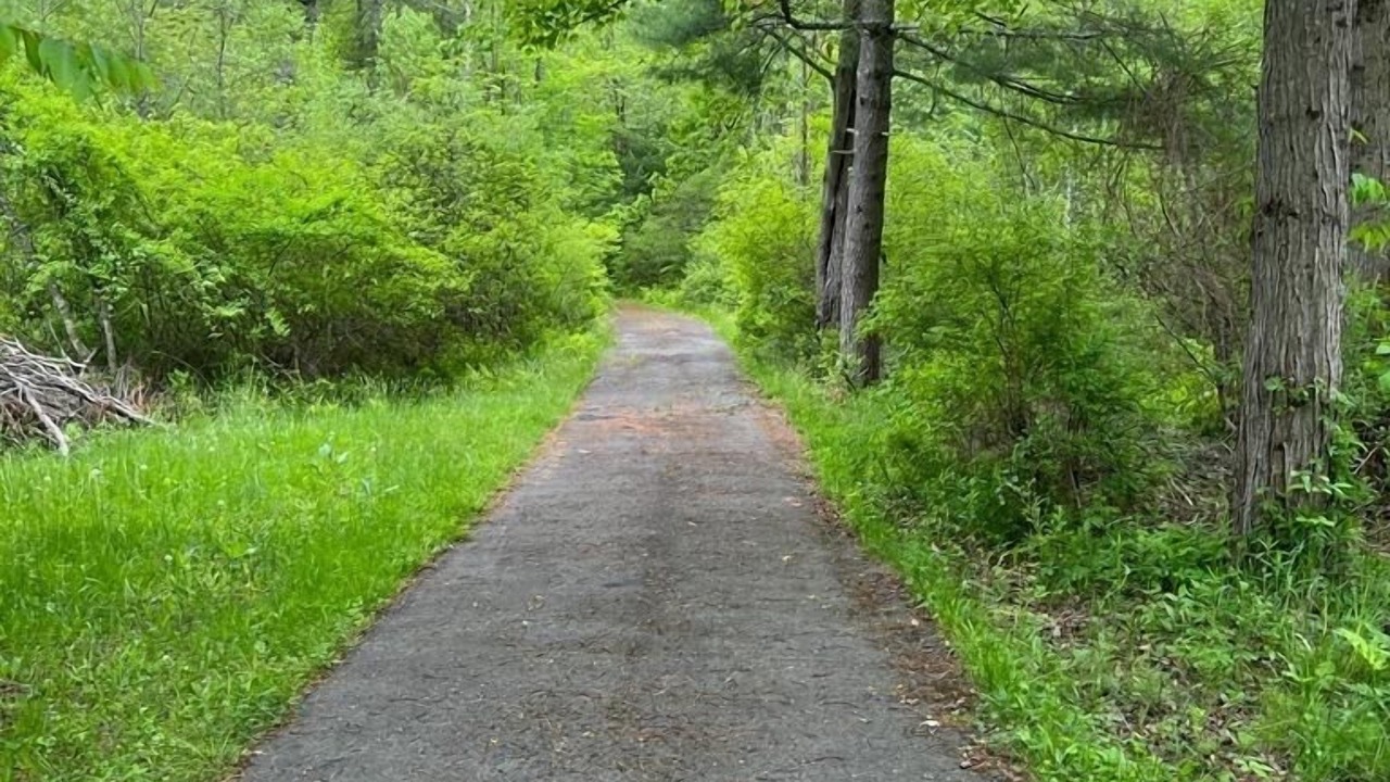 Photo of Outdoor in Ellenville