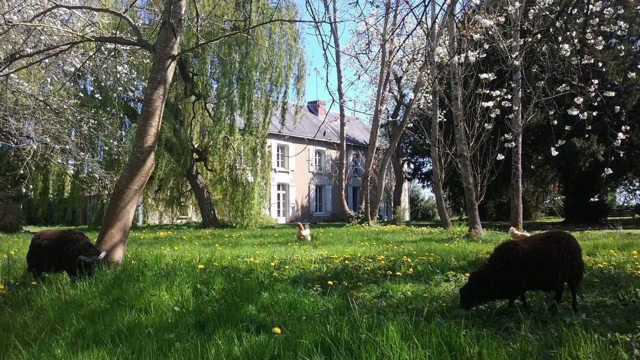 Photo of Outdoor in Vouneuil-sur-Vienne