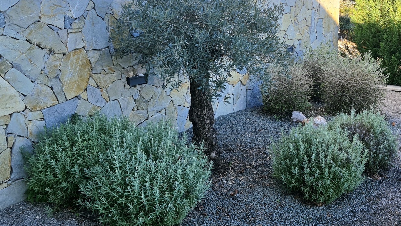 Photo of Outdoor in Bregi