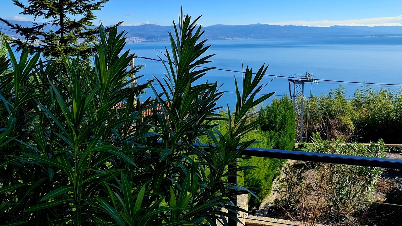 Photo of Outdoor in Bregi