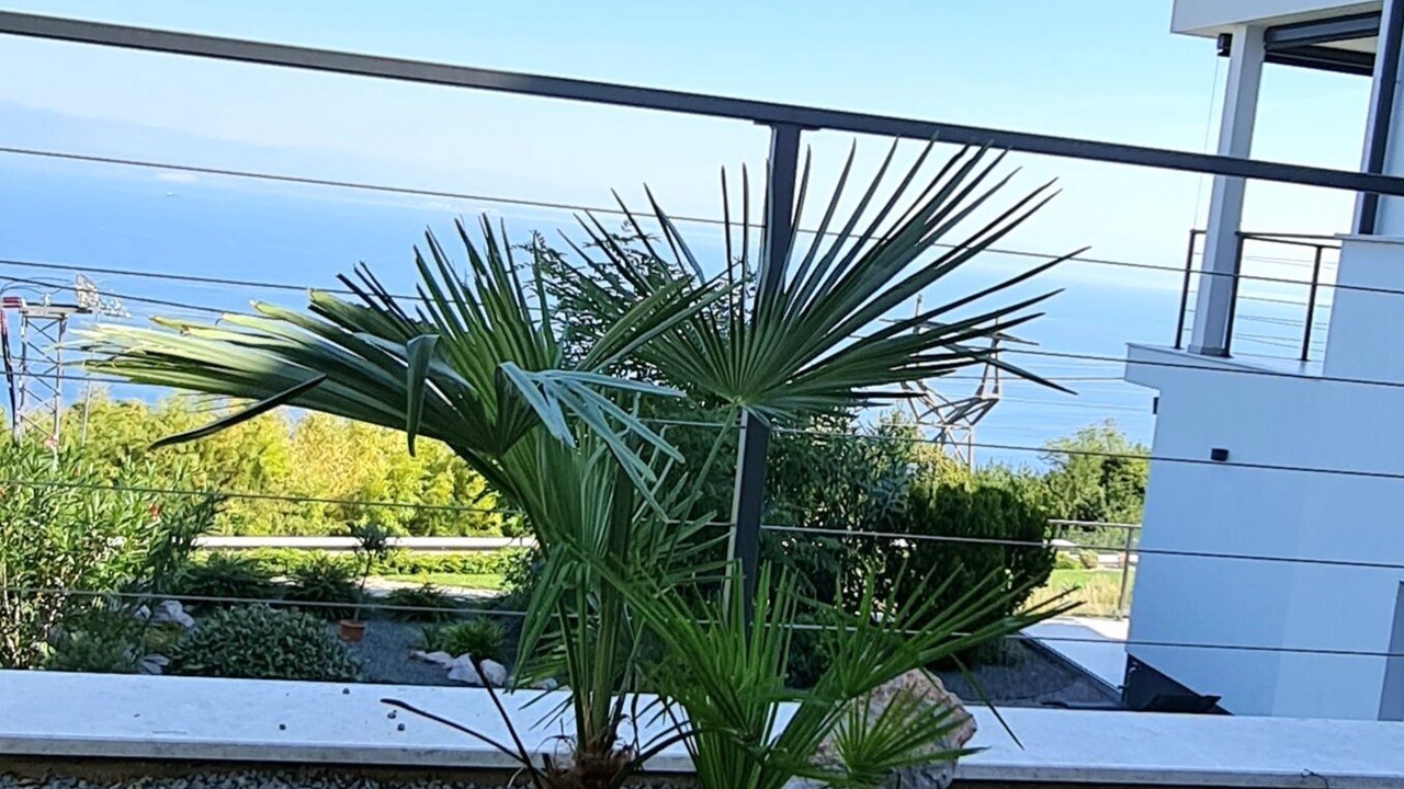 Photo of Outdoor in Bregi