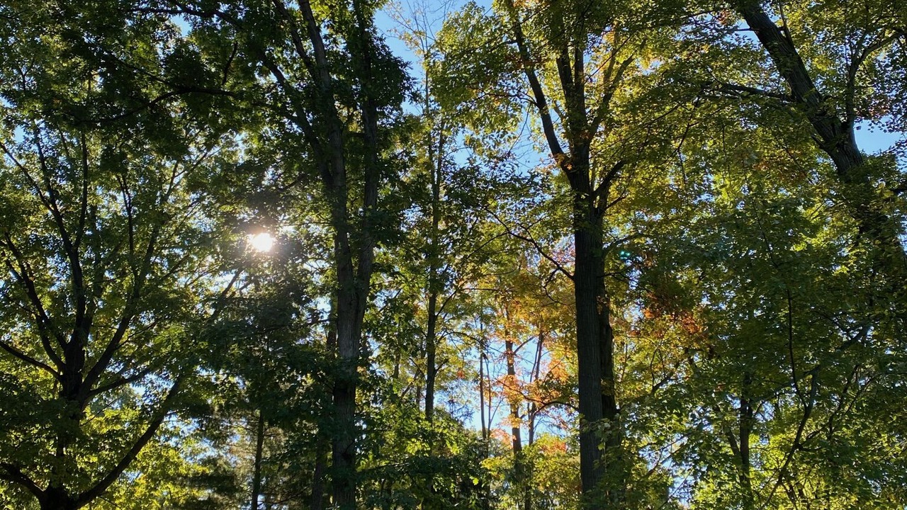 Photo of Outdoor in Vandalia