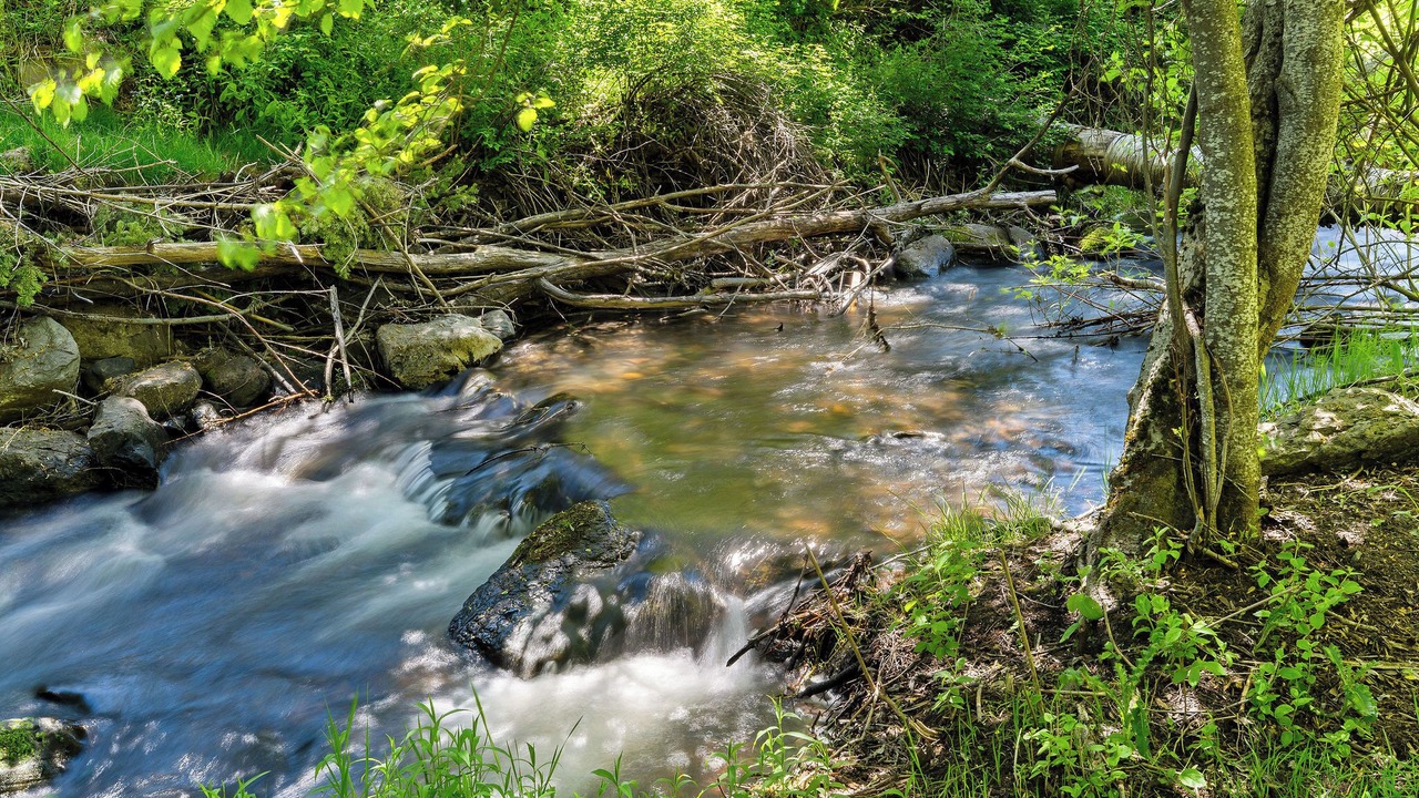 Photo of Others in Lakeside
