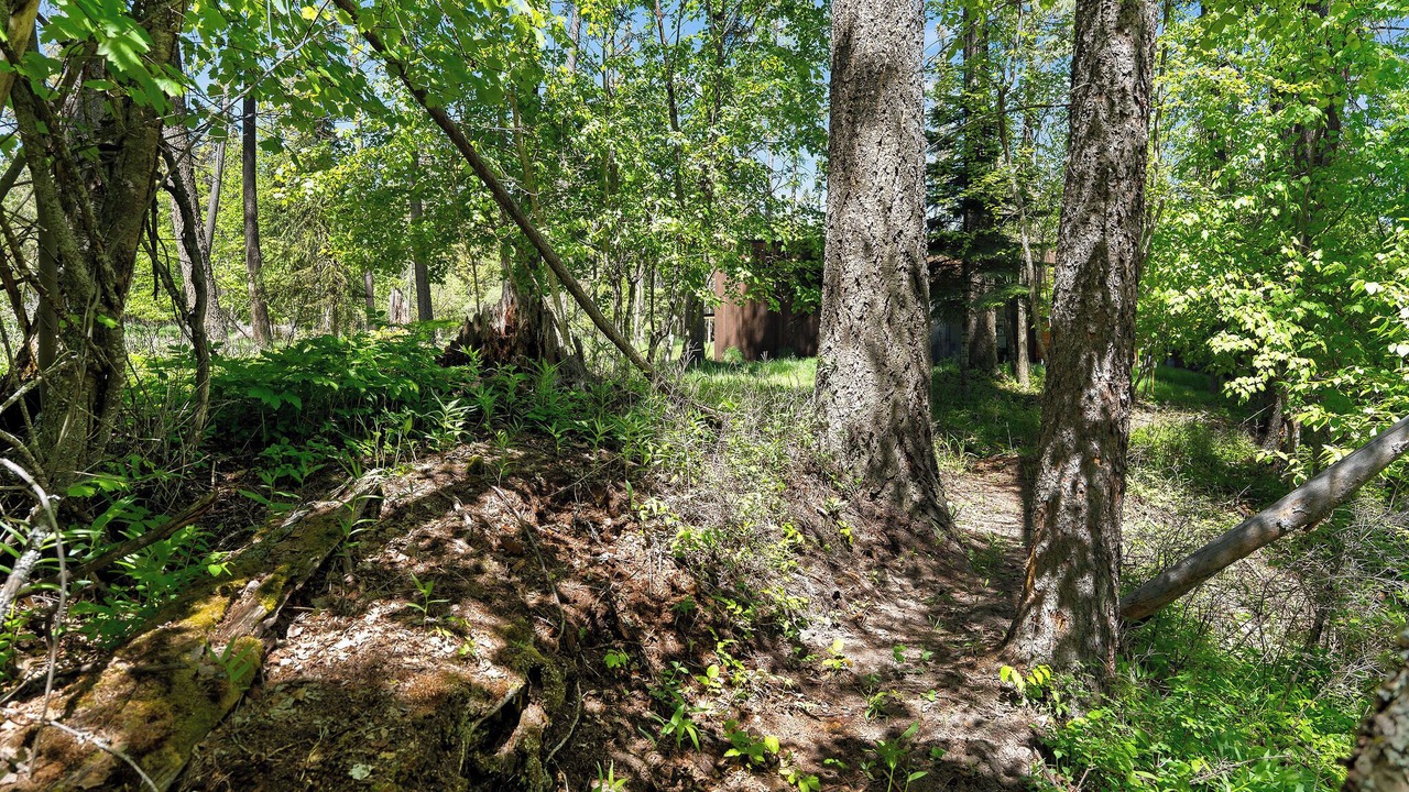 Photo of Others in Lakeside