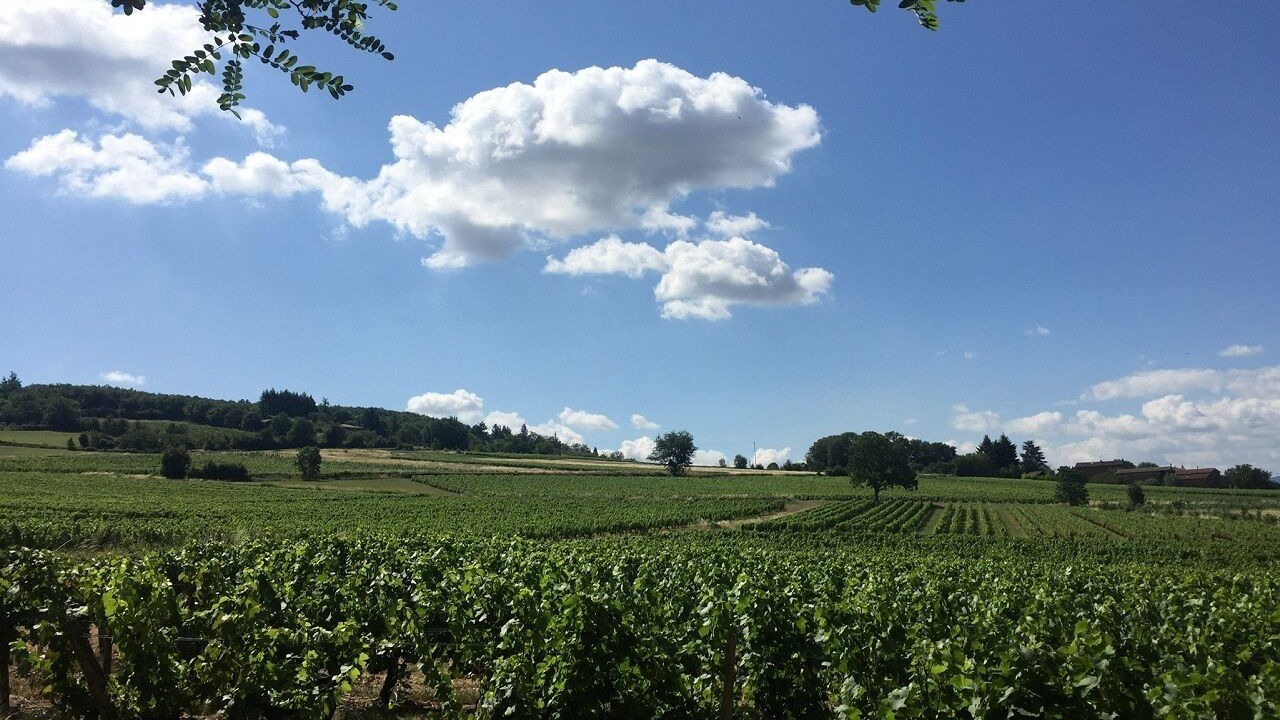 Photo of Outdoor in Charnay