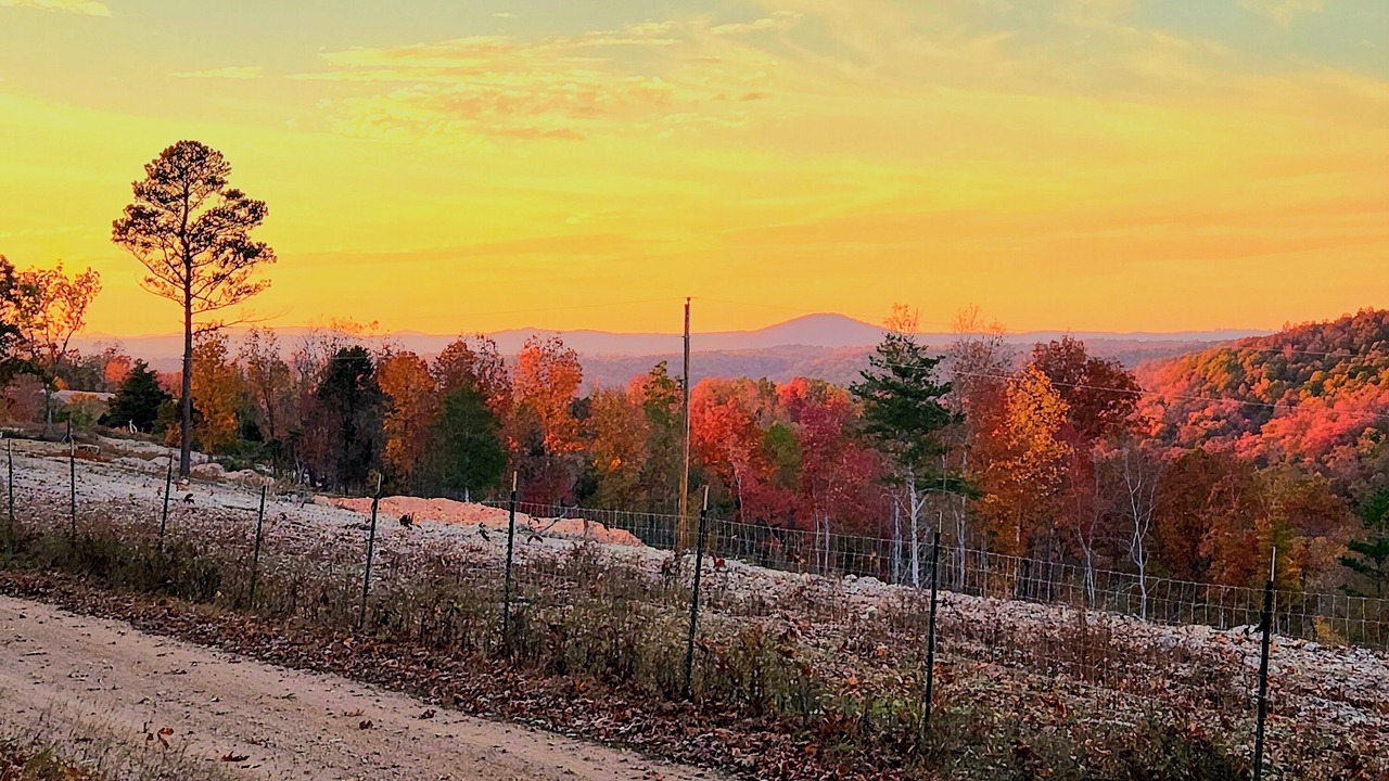 Photo of Others in Marshall