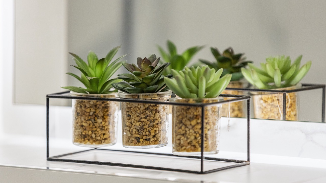 Photo of Others in Golders Green