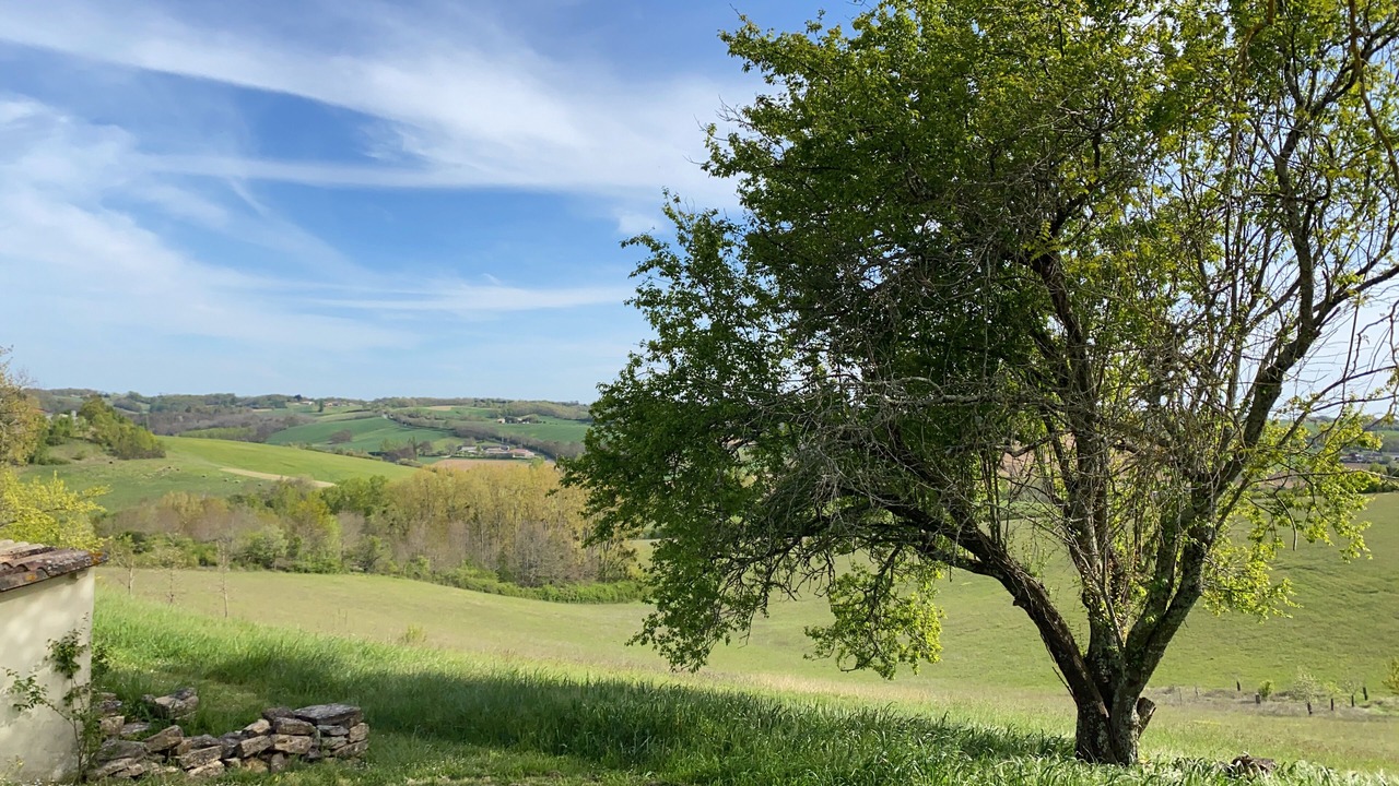 Photo of Others in Monclar-de-Quercy