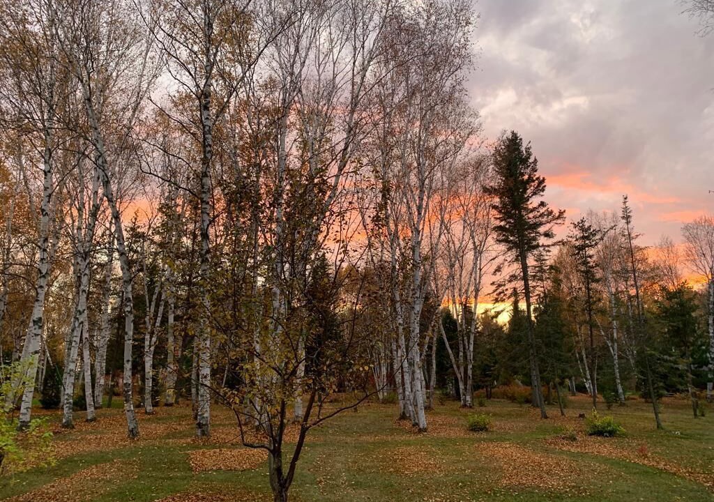 Photo of Outdoor in St. Felicien