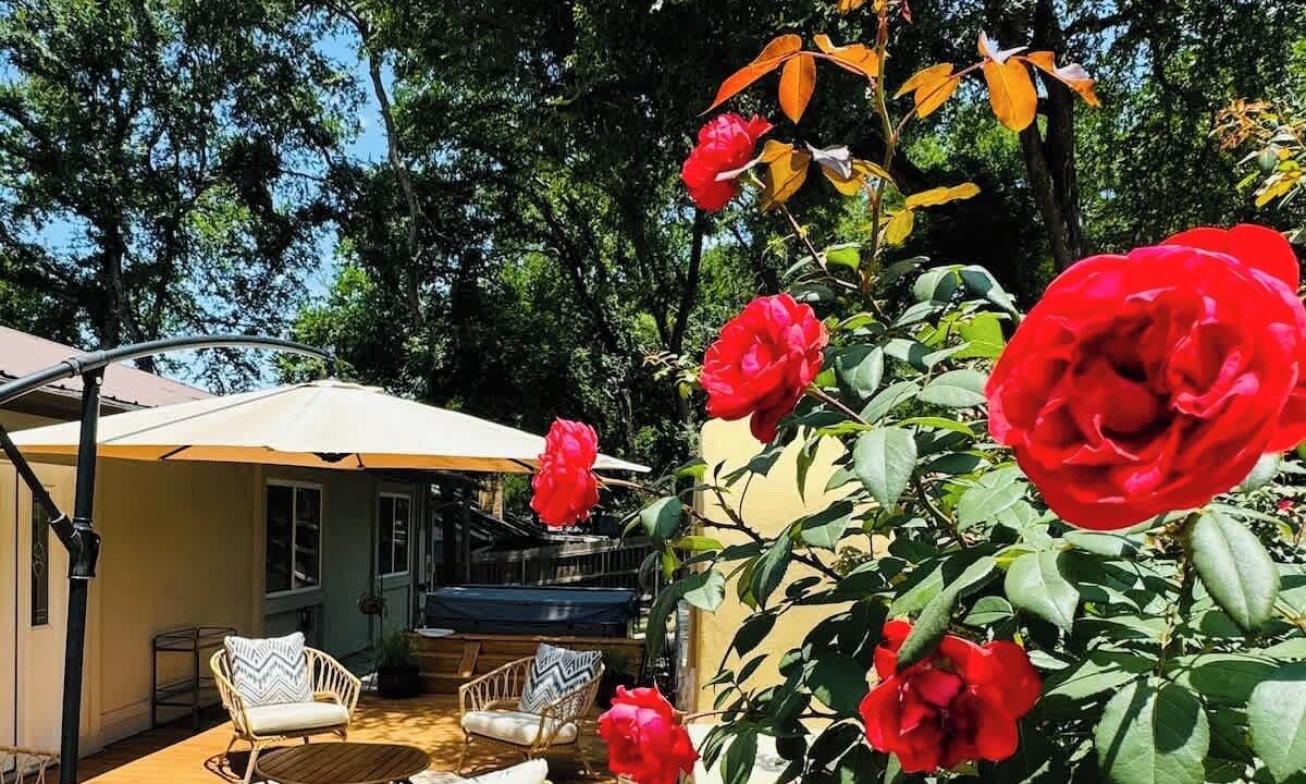 Photo of Patio Balcony in Round Rock