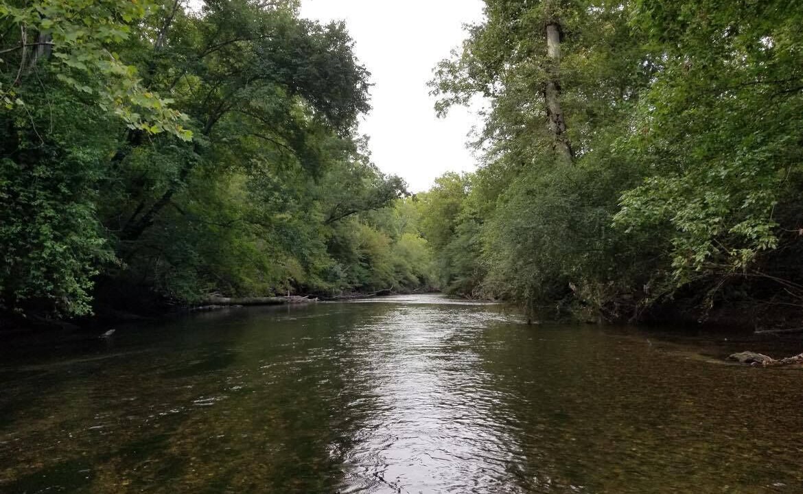 Photo of Others in Tellico Plains