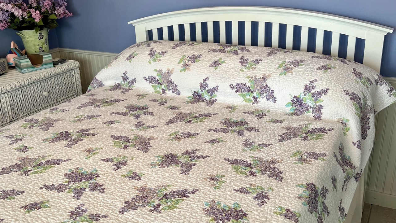 Photo of Others in Saint Johns