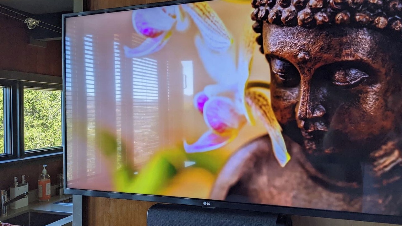 Photo of Others in Santa Venetia