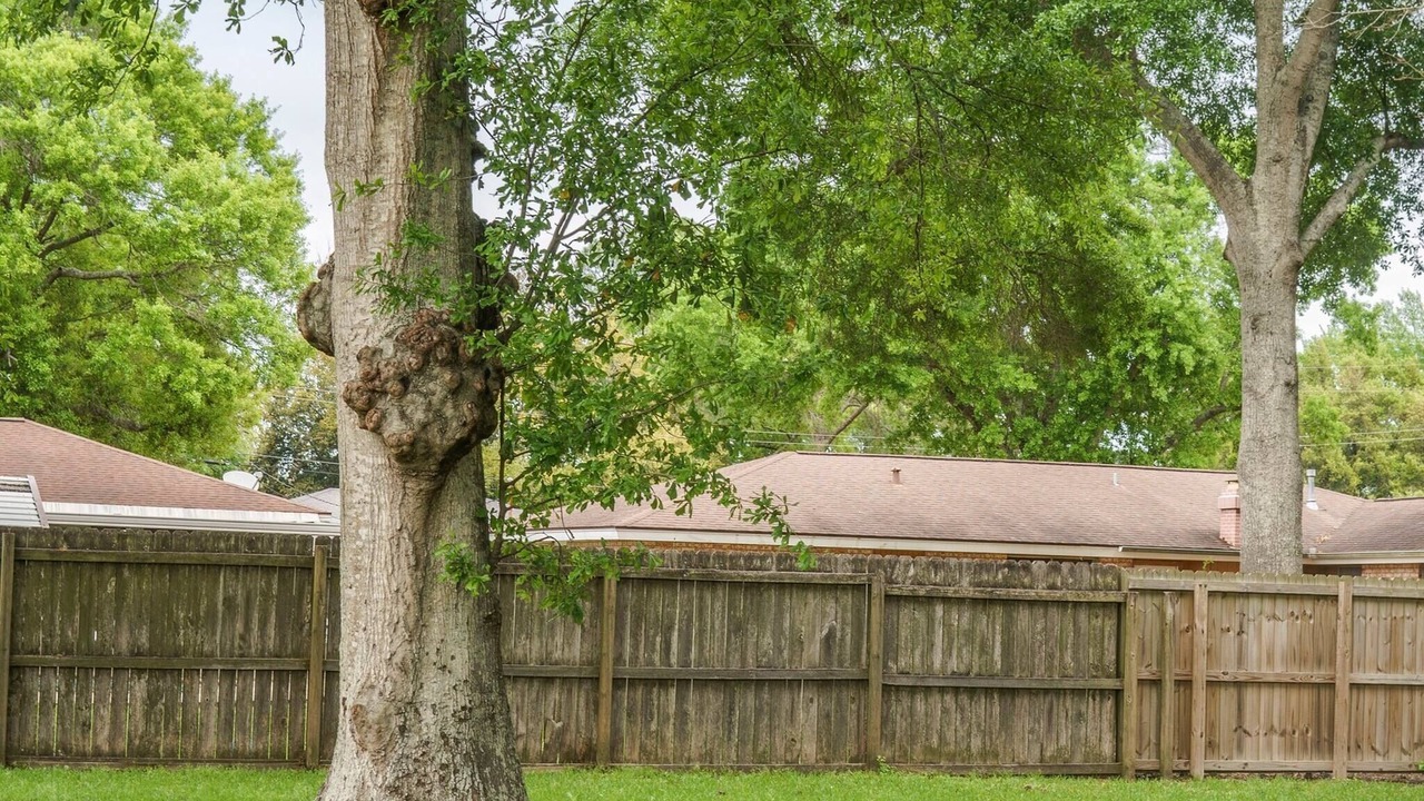 Photo of Outdoor in Groves