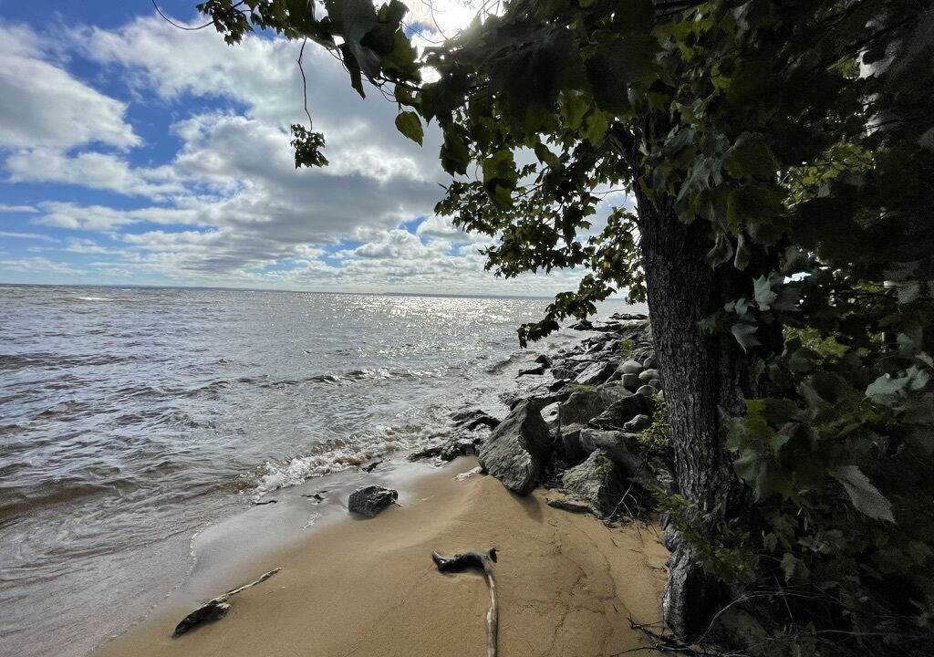 Photo of Others in Paradise