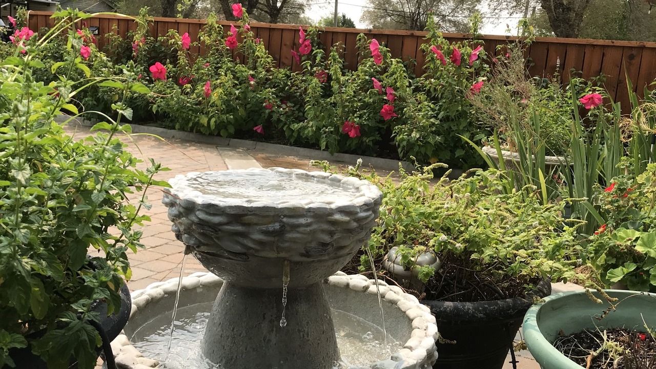 Photo of Outdoor in Amarillo