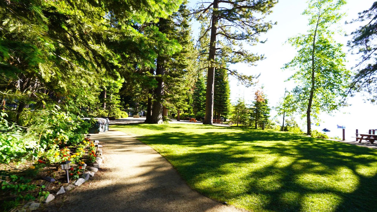 Photo of Outdoor in Talmont