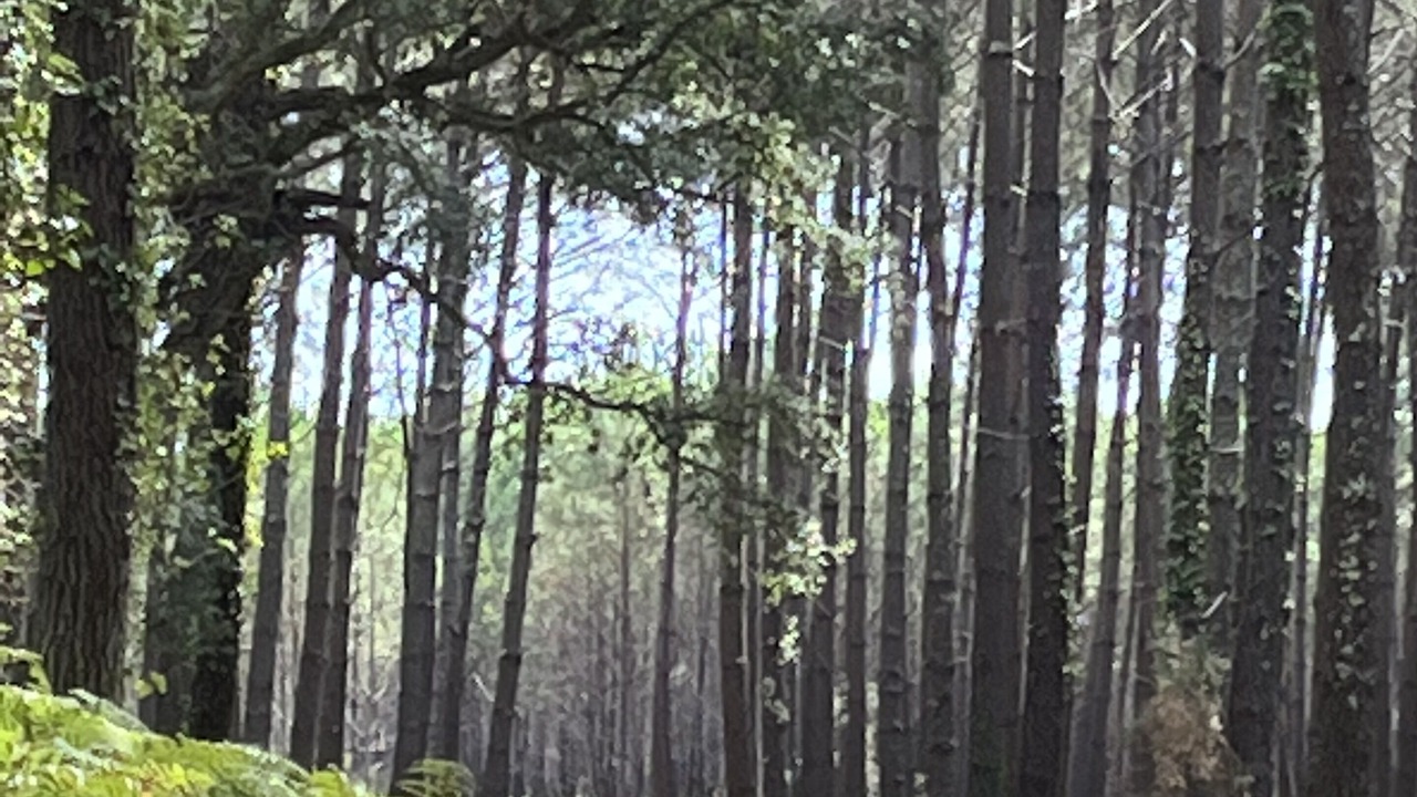 Photo of Others in Messanges