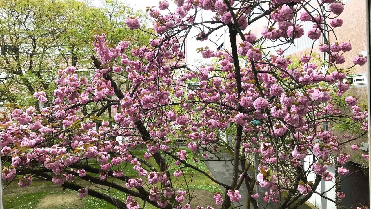 Photo of Outdoor in Ancely