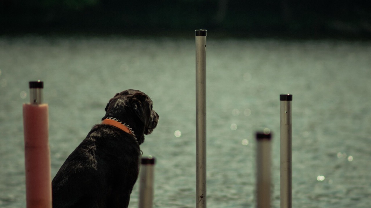 Photo of Others in Remsen