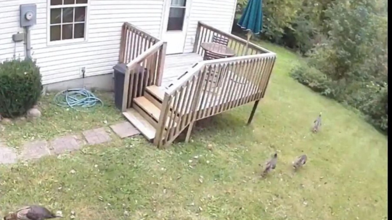 Photo of Patio Balcony in Berea