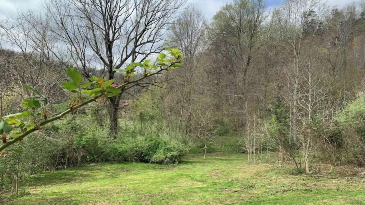 Photo of Outdoor in Berea