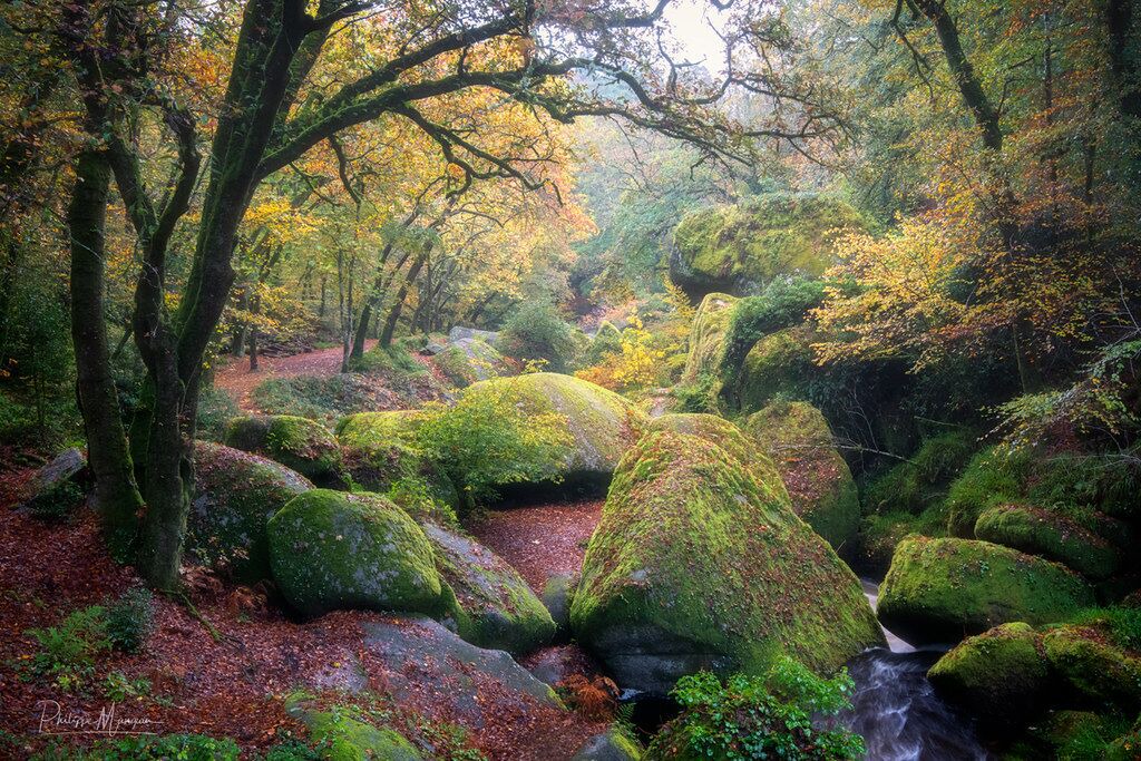 Photo of Others in Huelgoat