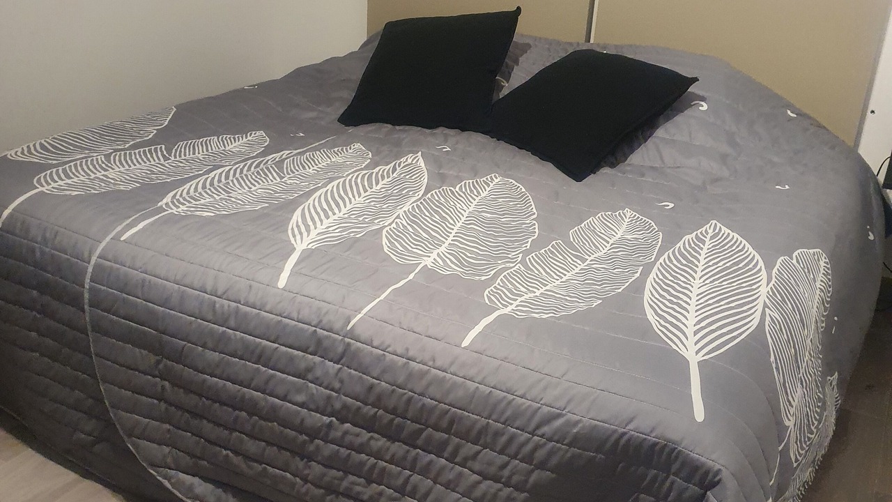 Photo of Bedroom in Nebouzat